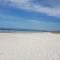 Thistle Do Beach Bach