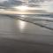 Gulls Stilbaai