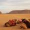 Wadi Rum