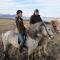 Húsey Hostel & Horsefarm - Egilsstaðir