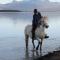 Húsey Hostel & Horsefarm - Egilsstaðir