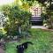 Funky cottage