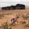 Landscape Rum Camp