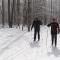 The Black Bear Lodge at Stratton Mountain Resort