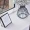 Newcastle Treasure - sleeps 4 - Lower Ground Floor
