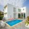 Architect's Villa