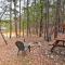 Broken Bow Log Cabin with Fire Pit, Pond, and Deck! - بروكن بو
