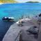 Apartments by the sea Cove Zaglav, Korcula - 9320