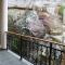 Mountain Rose Hotel & Restaurant