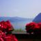 Appartamento con vista sul lago di Iseo e piscina