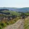 Ribblesdale Pods - Horton in Ribblesdale