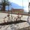 Foto: Apartments by the sea Dugi Rat, Omis - 7575 16/23