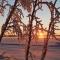 Lapland Dream Villas - Rauhala