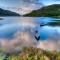 Muckross Park Hotel & Spa