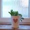 Apartman Biskupice