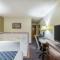 Econo Lodge Inn & Suites - Auburn