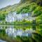 Red Deer Cosy Apartment in Letterfrack Connemara