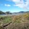Abergwynant Farm Glamping & Apartments