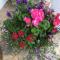 Gwynarth B&B