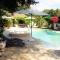 Santolines en Provence
