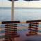 Selvagem Tours