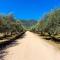 Camping Le Sagone