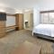Holiday Inn Express & Suites Irving Conv Ctr - Las Colinas by IHG - ايرفينغ