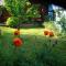 Apartement de vacances Alsace - Ferienwohnung Elsaß - Holiday apartment Alsace