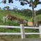 Hospedaria Rancho Ferreira