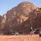 Wadi Rum Dew