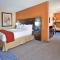 Holiday Inn Express & Suites St Louis Airport by IHG