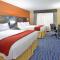 Holiday Inn Express & Suites St Louis Airport by IHG