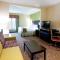 Holiday Inn Express Hotel & Suites Clemson - University Area, an IHG Hotel - Clemson