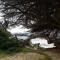 Porcupine Walk
