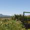 Thaba Lapeng Mountain Escape