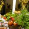 Boutique Hotel Chrysso