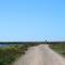 Amazing Windmillhouses