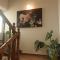 Apartments Dolac