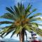 Alex - Nancy Apartments - Zaga Beach