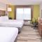 Holiday Inn Express & Suites Omaha Airport, an IHG Hotel - Carter Lake