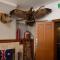The Globe Hotel, Rylstone