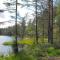 Cozy Lodge near Brattforsheden nature reserve - Filipstad