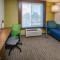 Holiday Inn Express Hotel & Suites Modesto-Salida, an IHG Hotel