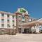 Holiday Inn Express Hotel and Suites Pearsall, an IHG Hotel