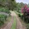 Lind End Guest Farm