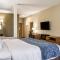 Comfort Suites Hotel and Conference Center