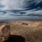Desert Picture