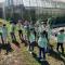 Hakka Eco-farm 雅歌園民宿食農教育有機農場