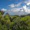Surfers Sunshine Cottage - Piha Holiday Home