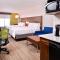 Holiday Inn Express Hotel & Suites Tampa-Anderson Road-Veterans Exp, an IHG Hotel